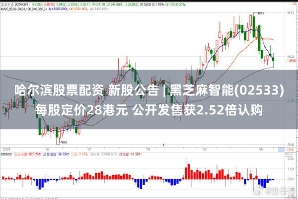 哈尔滨股票配资 新股公告 | 黑芝麻智能(02533)每股定价28港元 公开发售获2.52倍认购