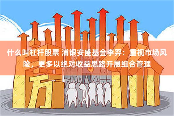 什么叫杠杆股票 浦银安盛基金李羿：重视市场风险，更多以绝对收益思路开展组合管理