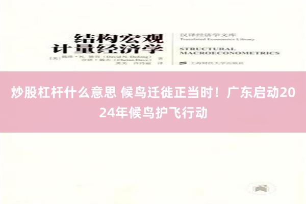 炒股杠杆什么意思 候鸟迁徙正当时！广东启动2024年候鸟护飞行动