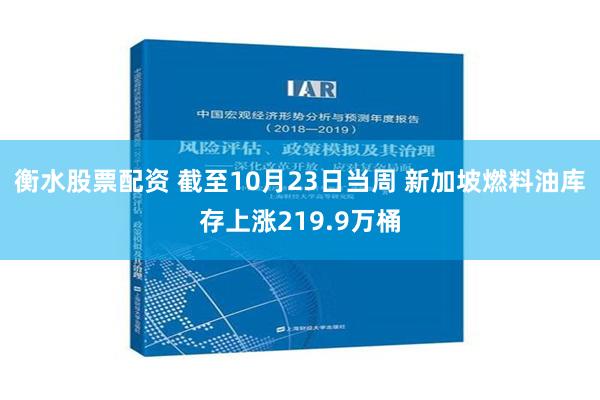 衡水股票配资 截至10月23日当周 新加坡燃料油库存上涨219.9万桶