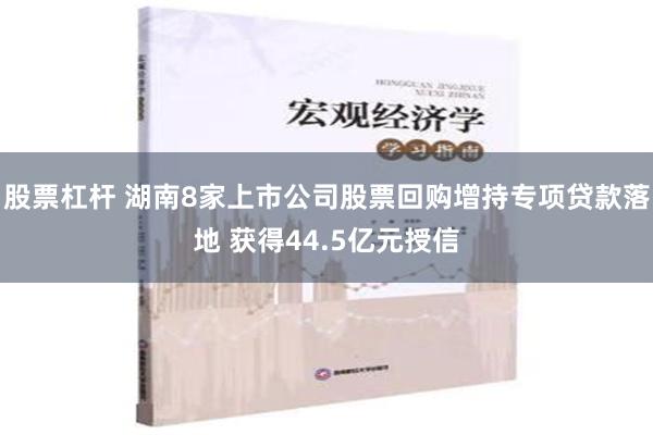 股票杠杆 湖南8家上市公司股票回购增持专项贷款落地 获得44.5亿元授信