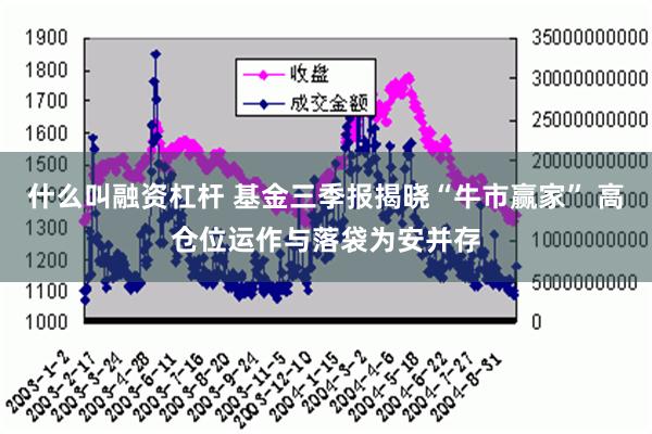 什么叫融资杠杆 基金三季报揭晓“牛市赢家” 高仓位运作与落袋为安并存