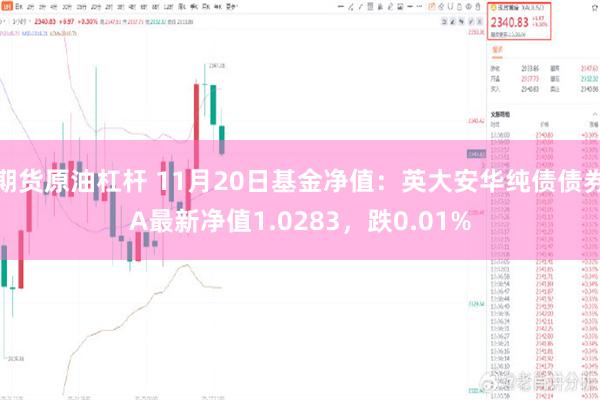 期货原油杠杆 11月20日基金净值：英大安华纯债债券A最新净值1.0283，跌0.01%