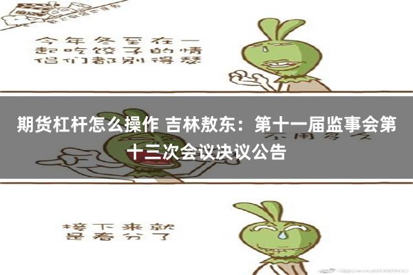 期货杠杆怎么操作 吉林敖东：第十一届监事会第十三次会议决议公告