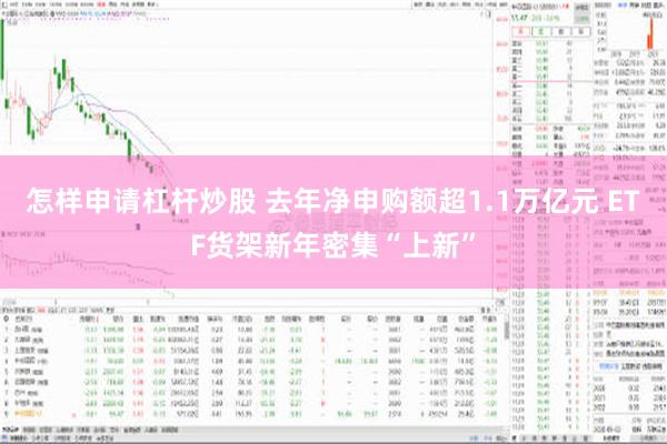 怎样申请杠杆炒股 去年净申购额超1.1万亿元 ETF货架新年密集“上新”