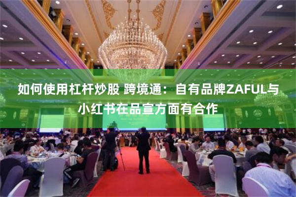 如何使用杠杆炒股 跨境通：自有品牌ZAFUL与小红书在品宣方面有合作