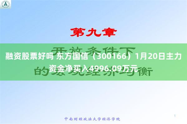 融资股票好吗 东方国信（300166）1月20日主力资金净买入4996.09万元