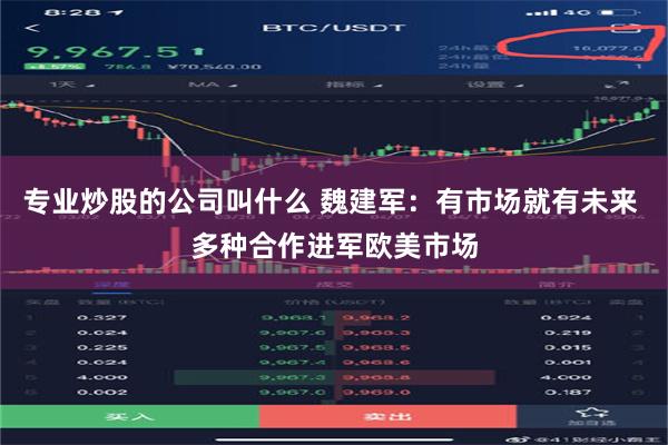 专业炒股的公司叫什么 魏建军：有市场就有未来 多种合作进军欧美市场