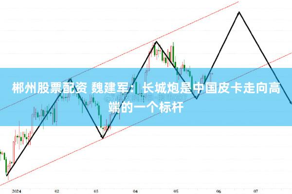 郴州股票配资 魏建军：长城炮是中国皮卡走向高端的一个标杆